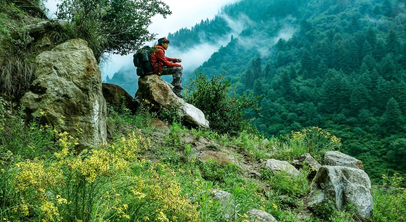 Manali Kasol Jibhi Group Tour Package